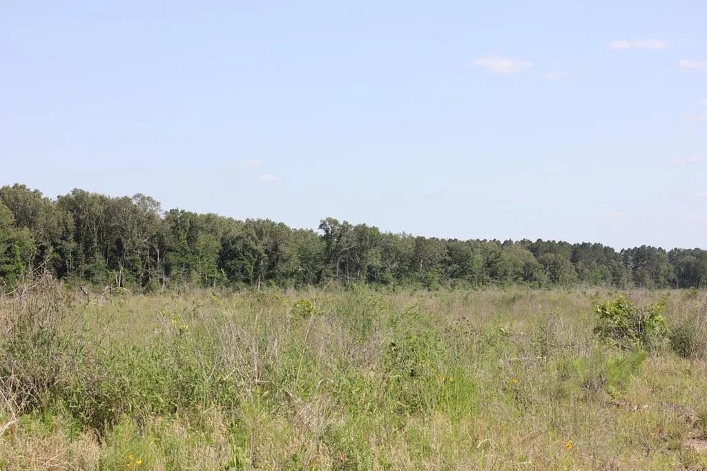 Property from PID 32386 Fm 844 - KW - Huntington, Texas, 75949