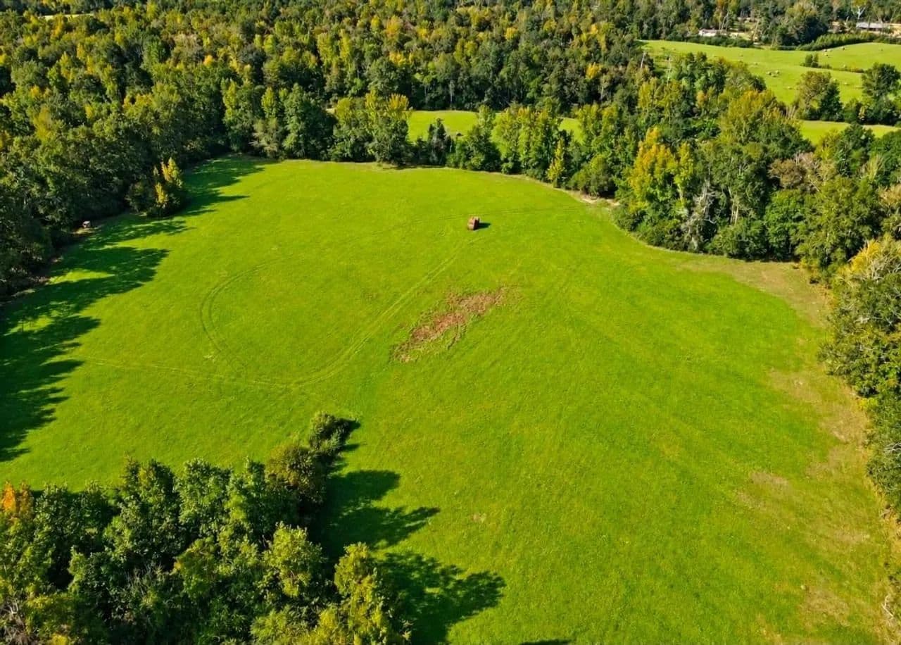 55 Acres In Enterprise School District - Brookhaven, Mississippi, 39601