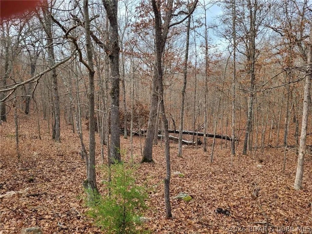 Lots & Land-Other in Edwards - Edwards, Missouri, 65326