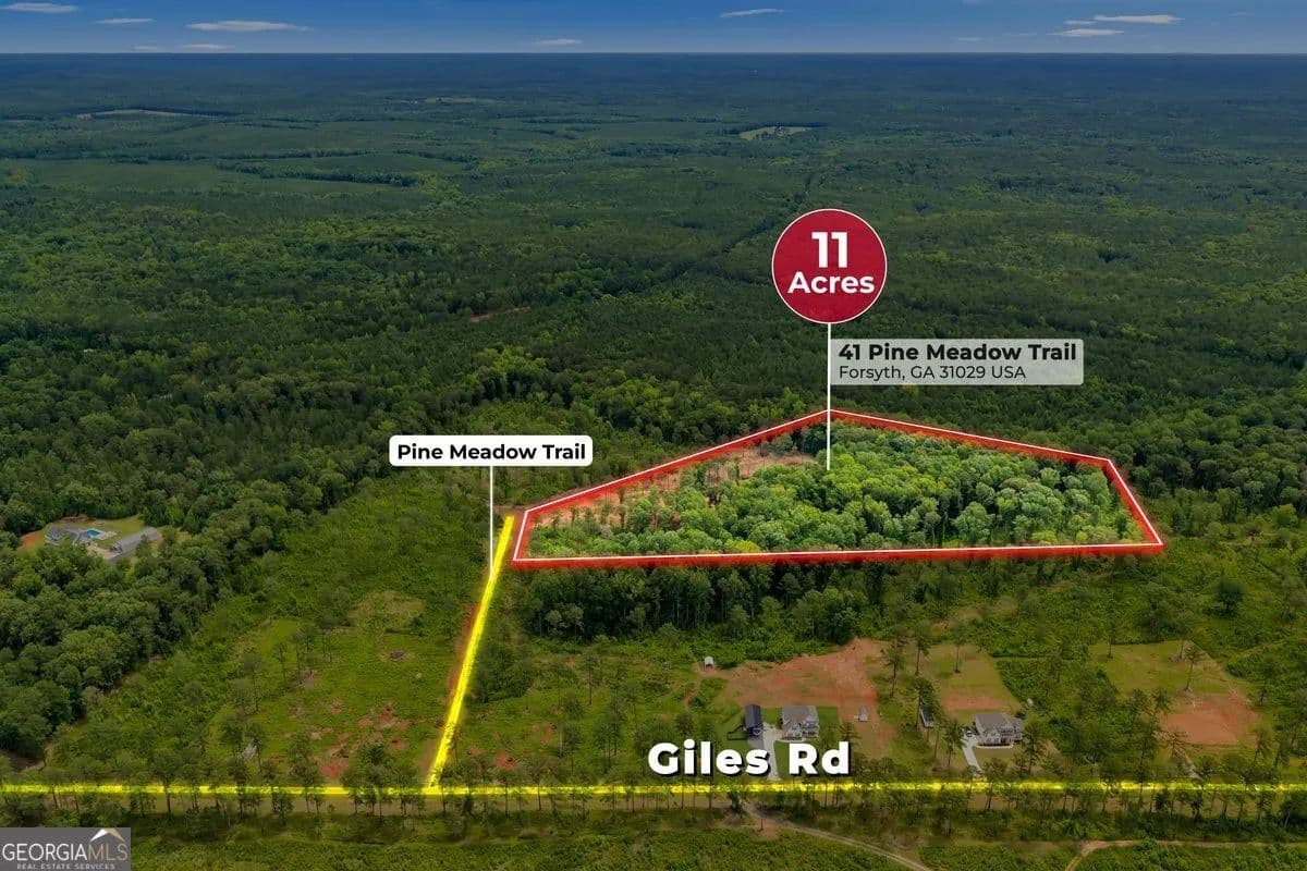 11.17 Acres of Land for Sale in Forsyth, GA - land for sale
