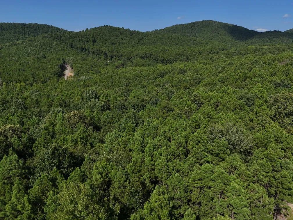 Land -Single Family Acreage in Mena - Mena, Arkansas, 71953