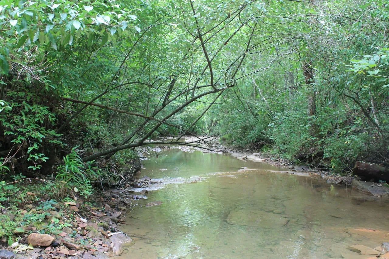 Rare opportunity to own 1016.06+/-acres of breathtaking mountain property in Huntsville TN. Located off of Norma Road - Huntsville, Tennessee, 37756