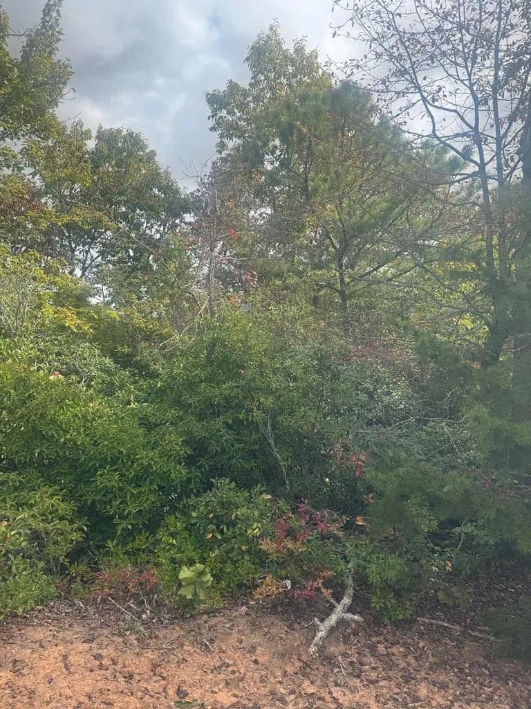 Lots & Land-Other in Clayton