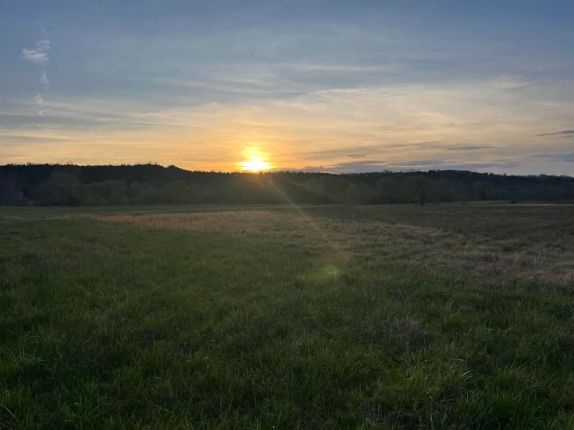 Property from 3961 Jackson Ferry Road - KW