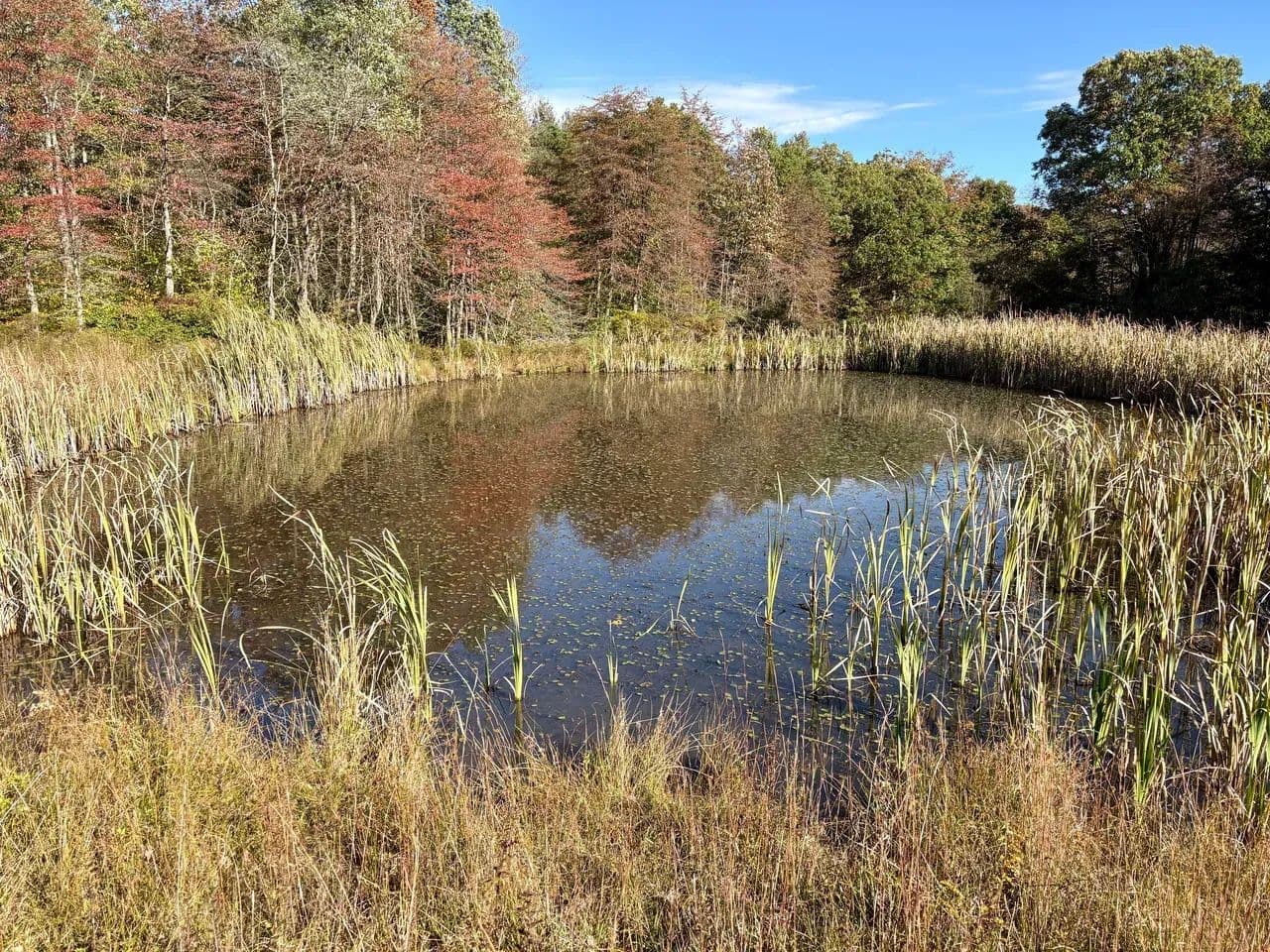 Dinner Bell Rd. (Parcel 4) 11+/- Acres - Farmington, Pennsylvania, 15437
