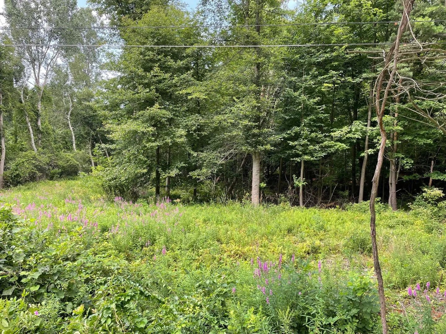 Vacant Land in Holland - Holland, Michigan, 49423