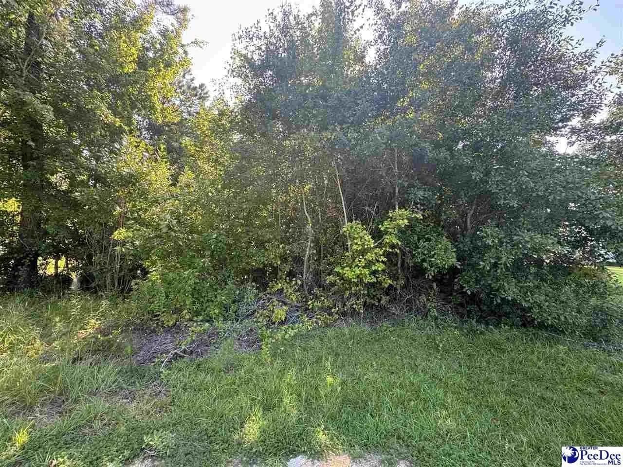 Lots & Land-Other in Florence - Florence, South Carolina, 29506