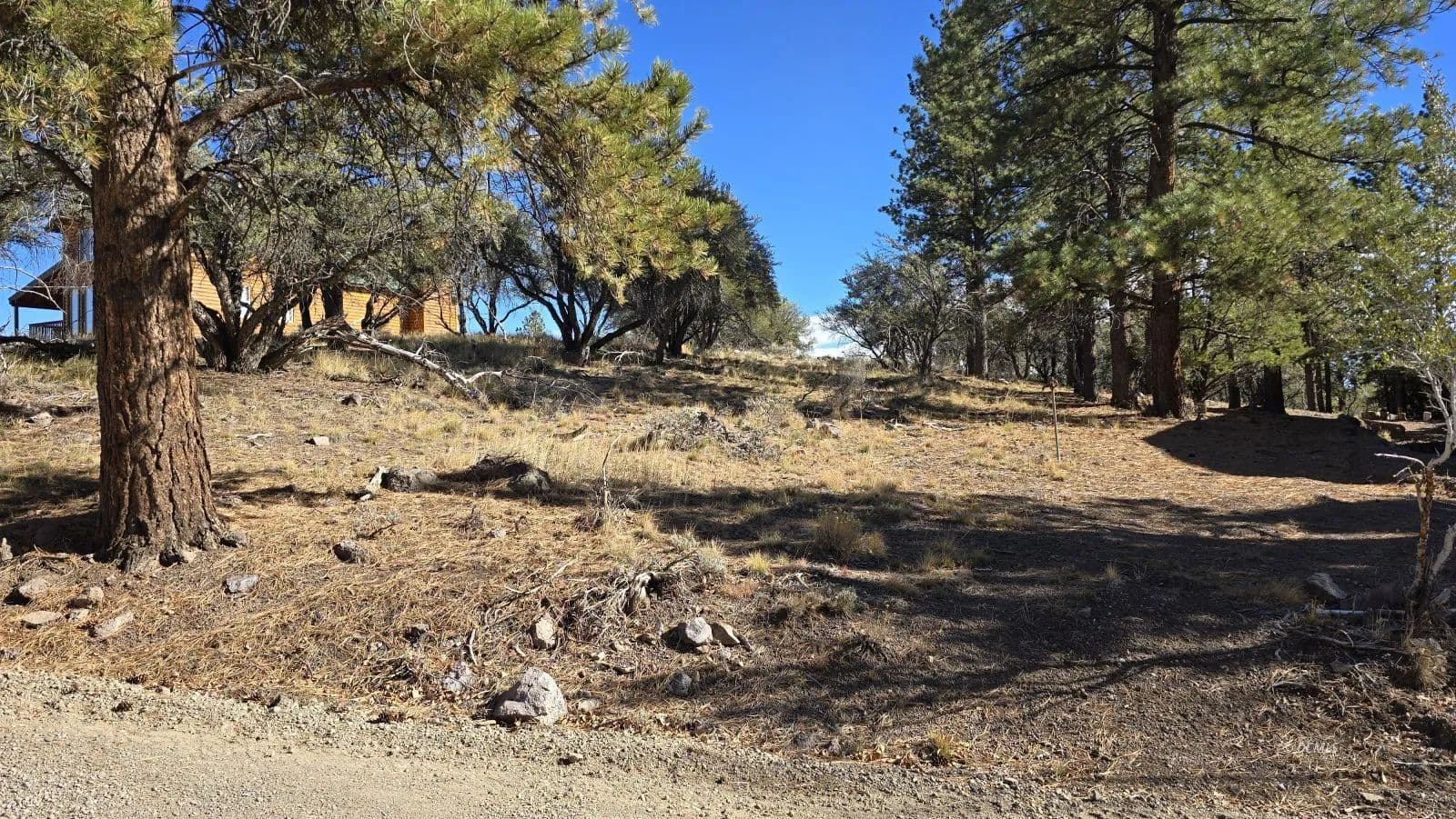 Land -Single Family Acreage in Panguitch Lake - Utah, 84759