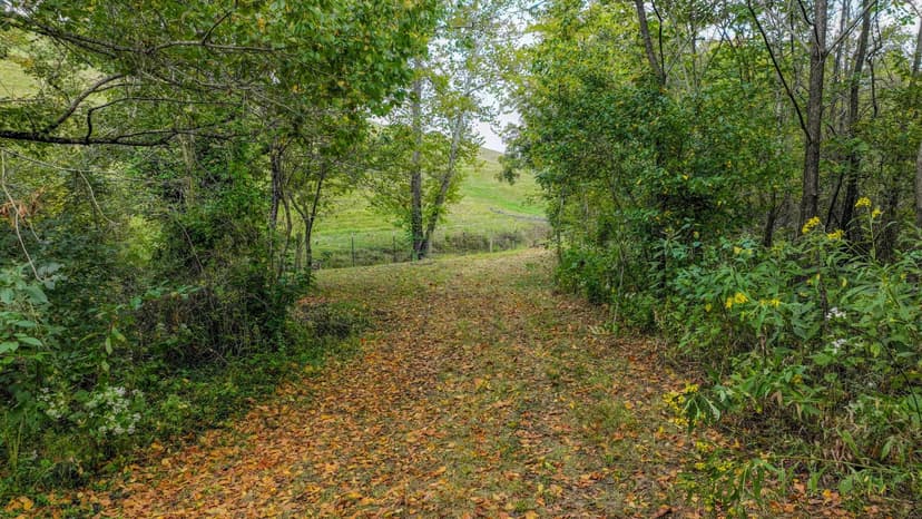 Property from 111 Kanatzar Lane - KW