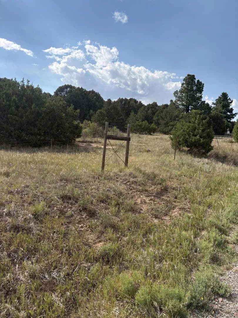 Land -Single Family Acreage in Tijeras - Tijeras, New Mexico, 87059