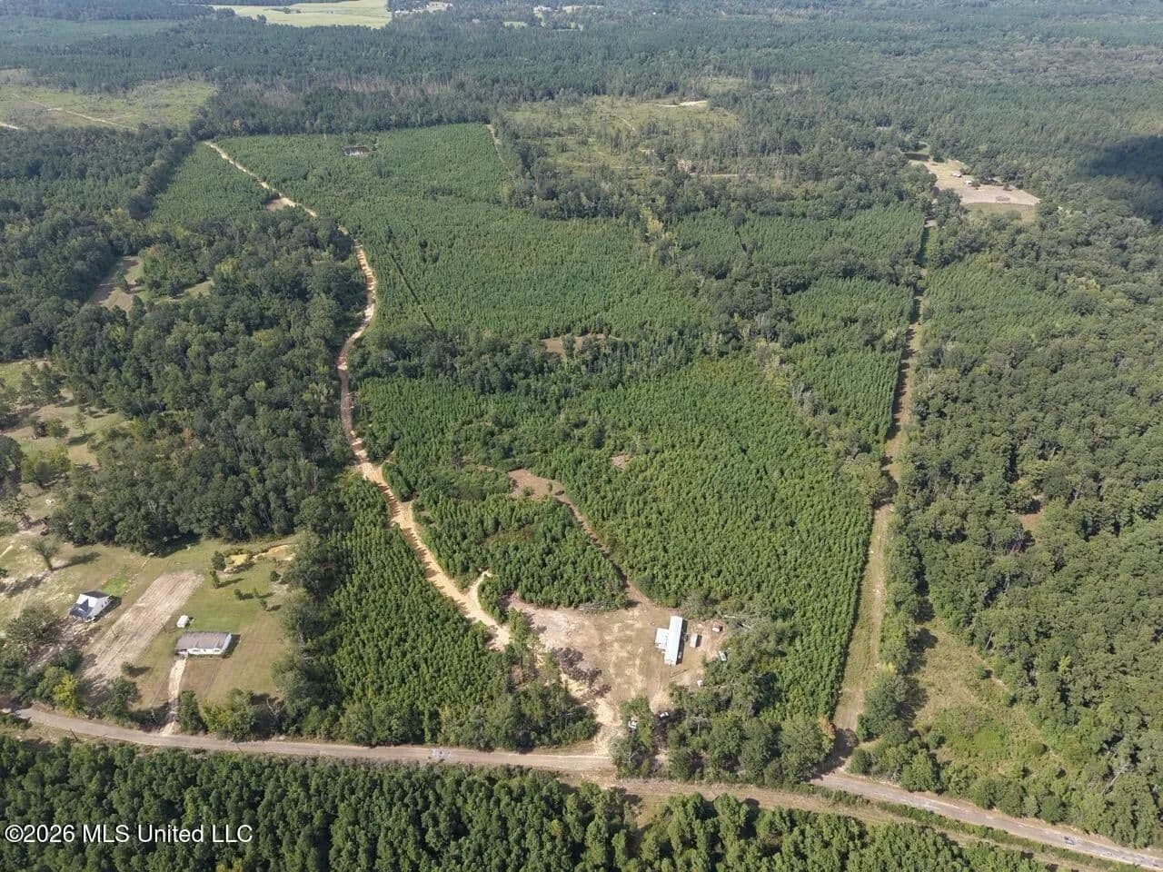 85± Acre Turnkey Hunting Property in Amite County, MS - Liberty, Mississippi, 39645