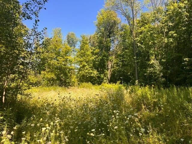 Vacant Land in Woodville - Woodville, Wisconsin, 54028