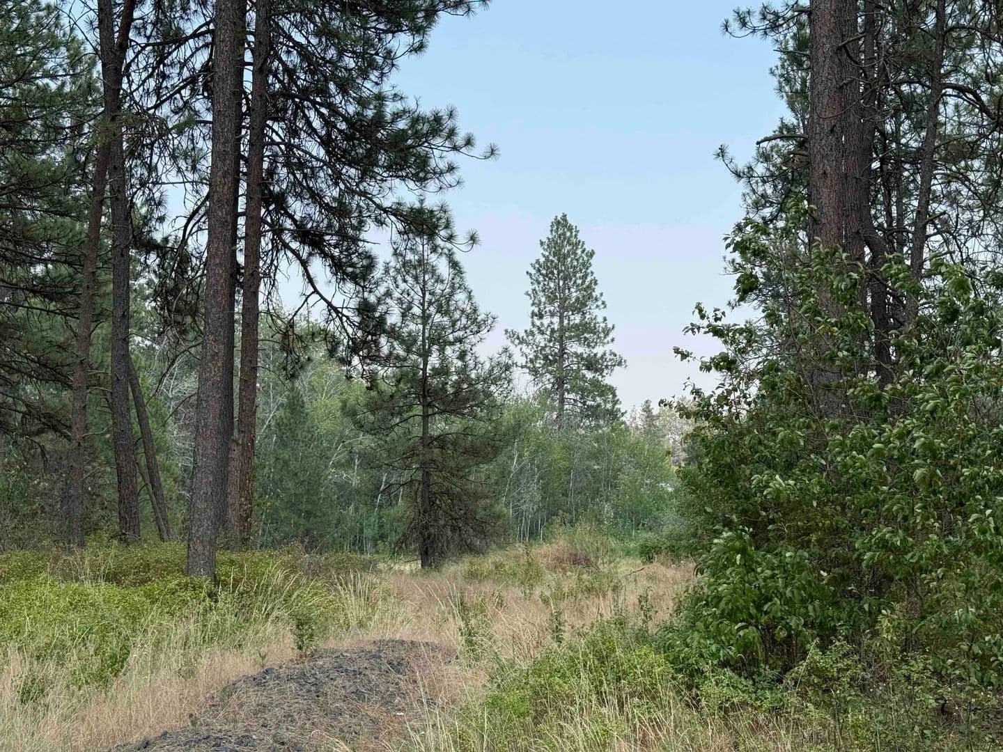Vacant Land in Cheney - Cheney, Washington, 99004