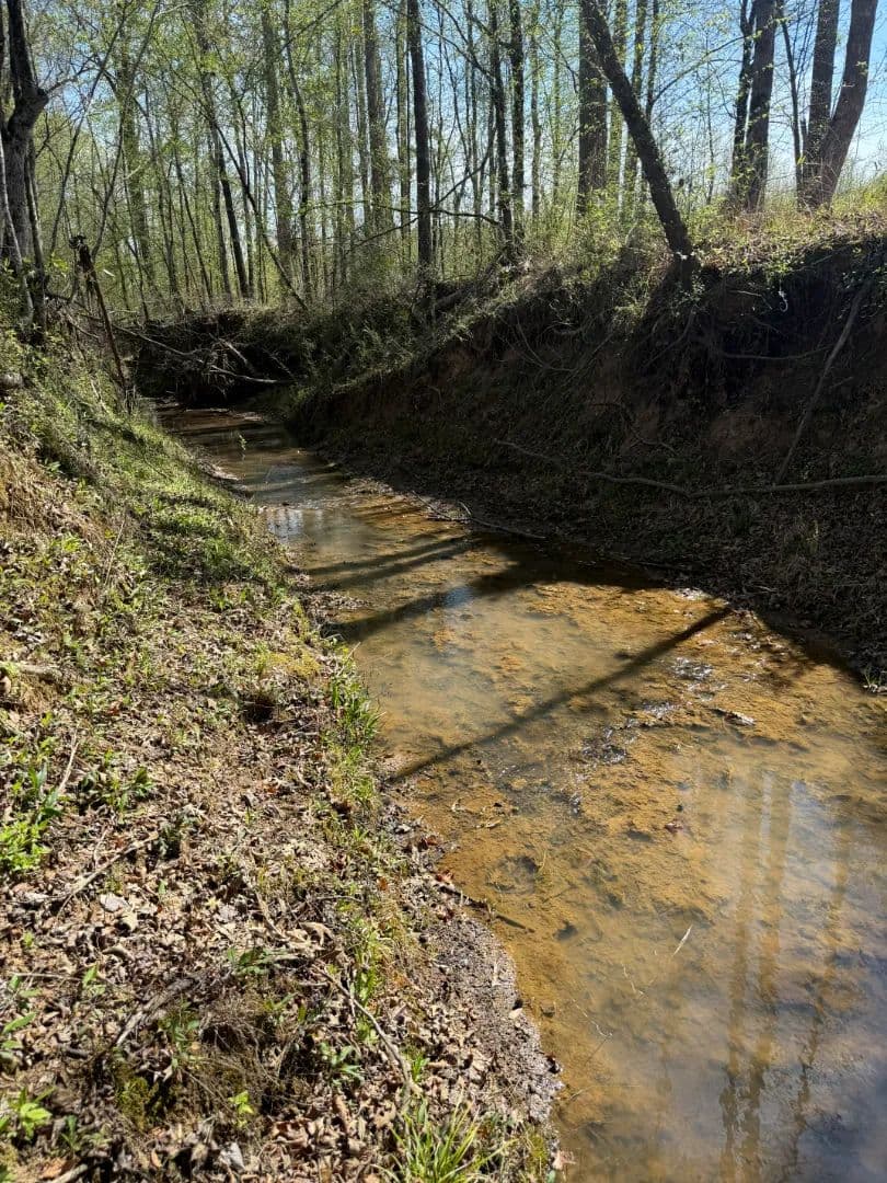 160 Acres in Winston County, MS 