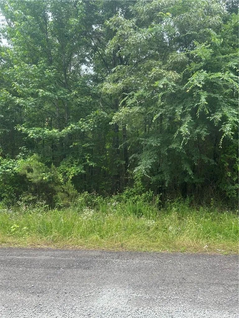 Lots & Land-Other in Dardanelle - Dardanelle, Arkansas, 72834