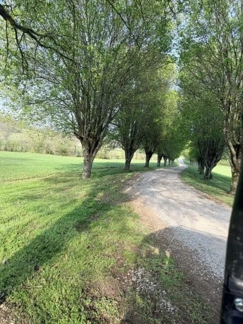 89.06 Acres of Land for Sale in Spring Hill, TN - Spring Hill, Tennessee, 37174