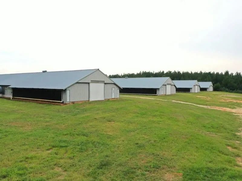 Mayflower Pullet Farm – Four House Farm in Covington County, Alabama - Andalusia, Alabama, 36421