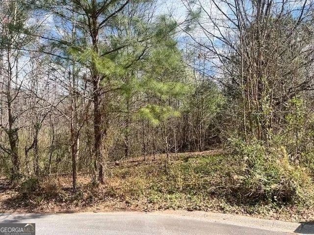Lots & Land-Other in Acworth