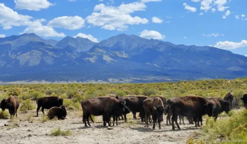 Property from 6150 Tim Road - KW