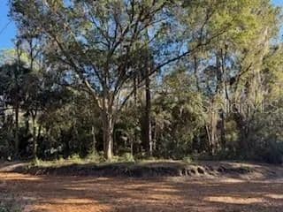 Lots & Land-Other in FORT MC COY - Fort Mc Coy, Florida, 32134