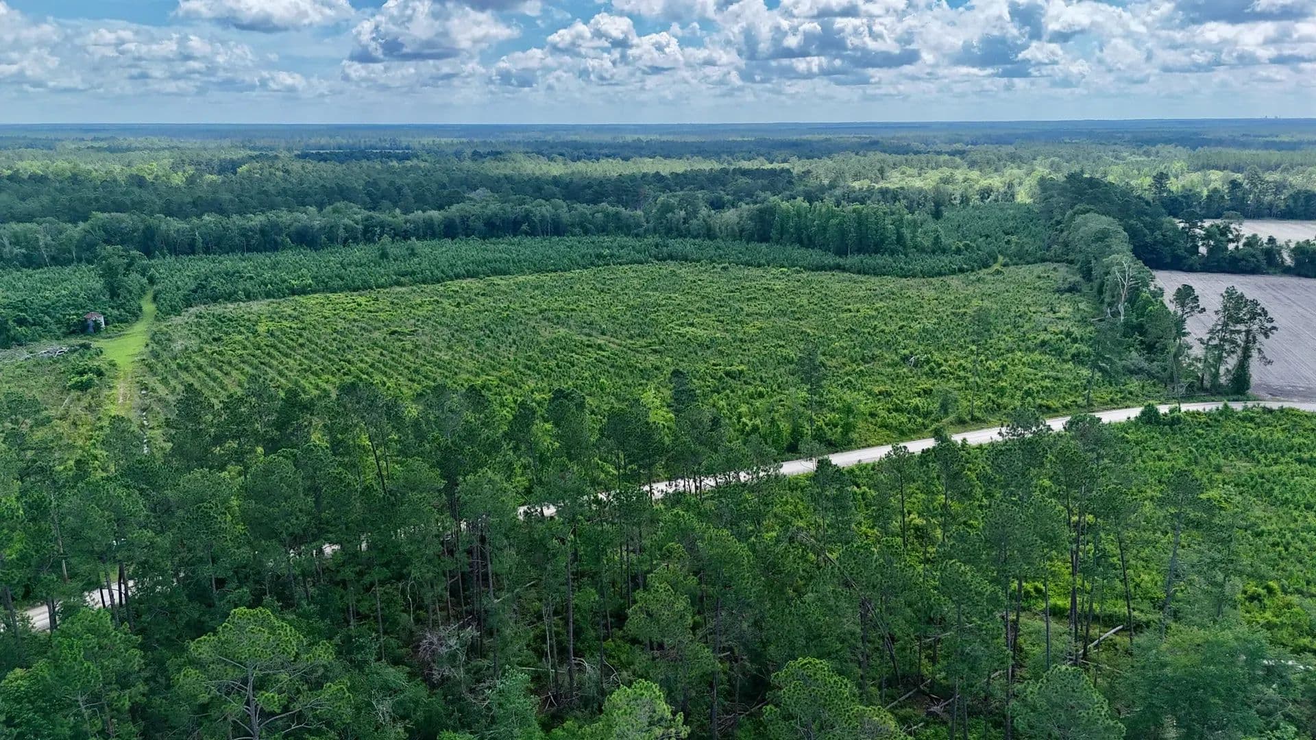 40 Acres of Land for Sale in Odum, GA - Odum, Georgia, 31555