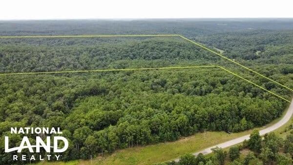 Salem 80 Acre Timber Tract - Salem, Missouri, 65560