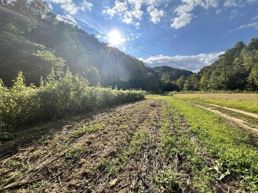 Lots & Land-Other in Elkhorn City