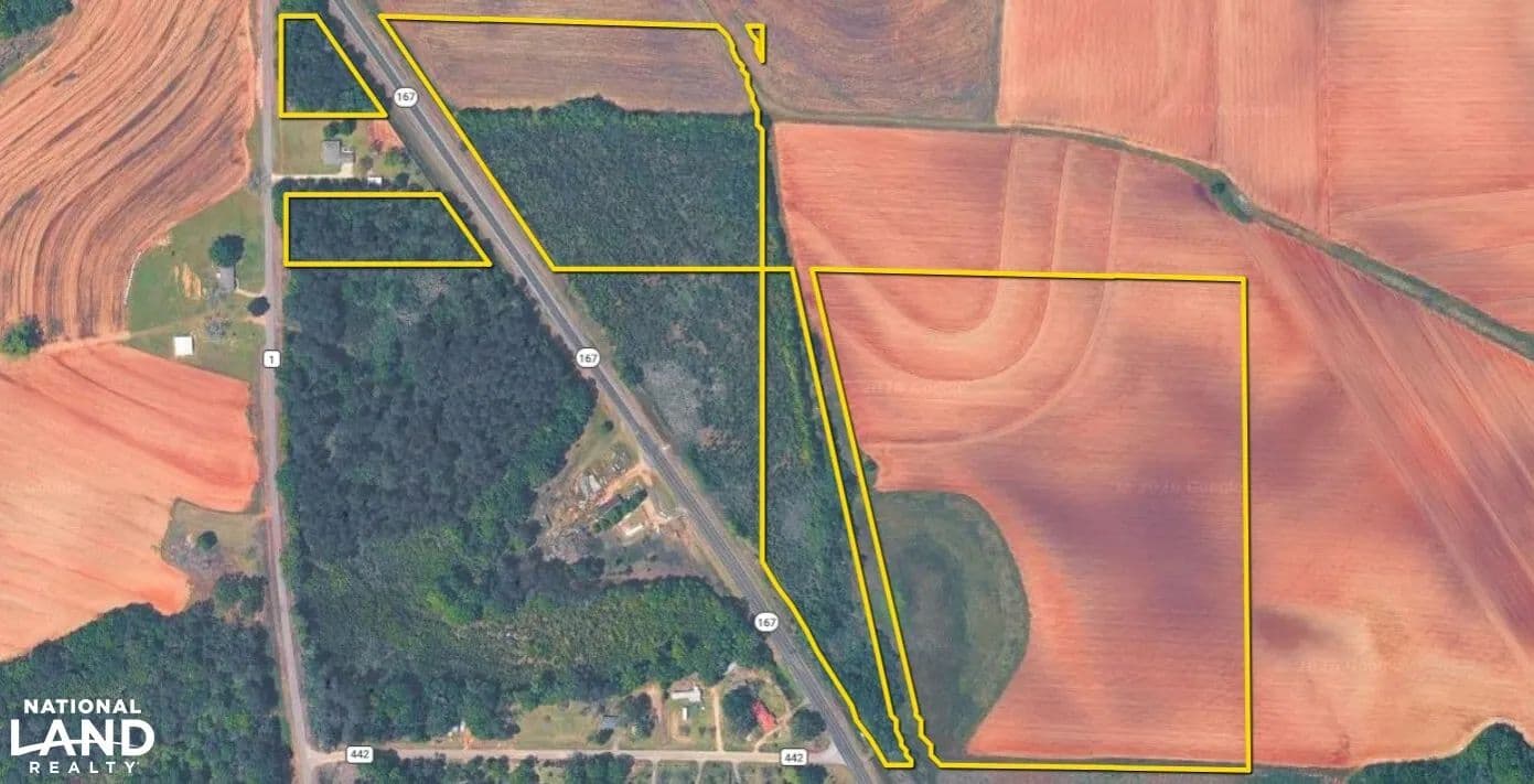 Hwy 167 Tract 2 - Clayhatchee, Alabama, 36322