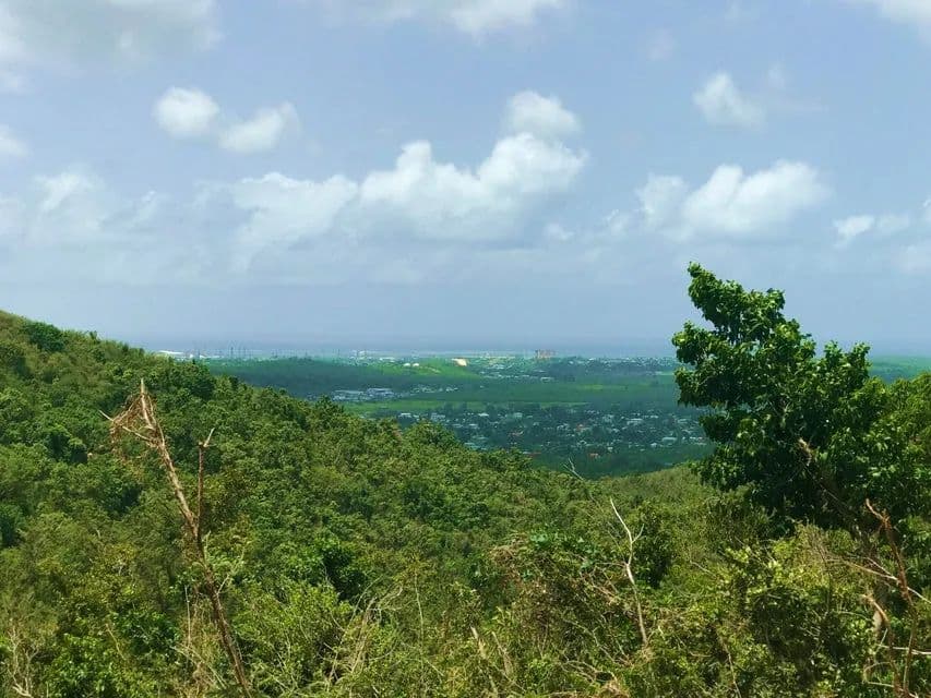 Vacant Land in St. Croix - land for sale