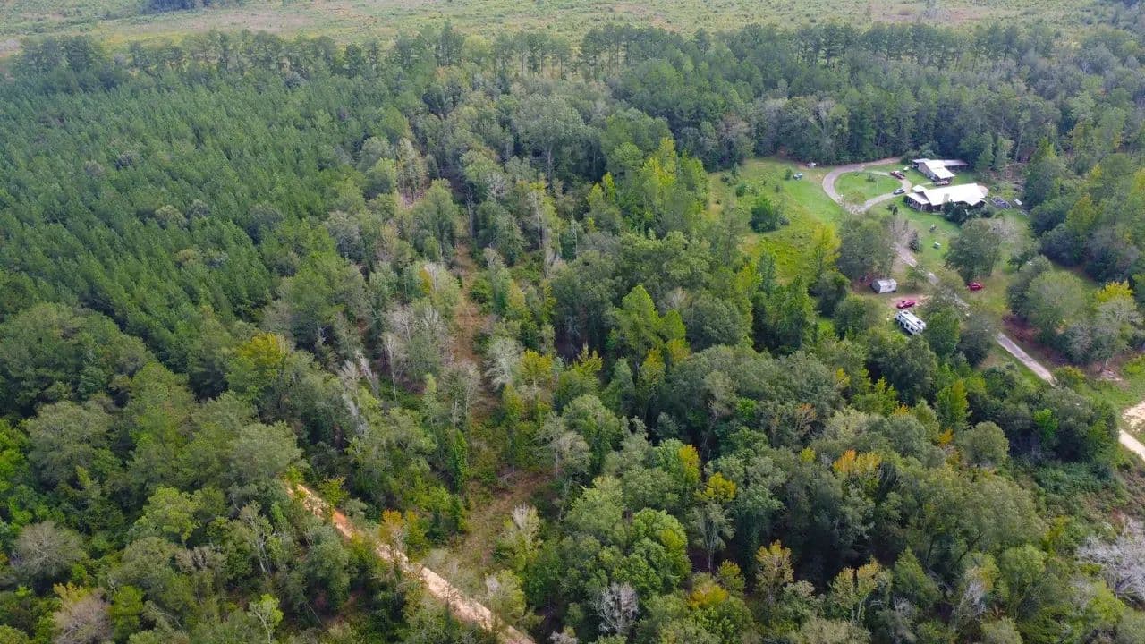 9.5 Acres Marion County - Columbia, Mississippi, 39429