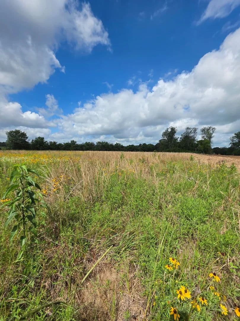 Lots & Land-Other in Plantersville - Plantersville, Texas, 77363