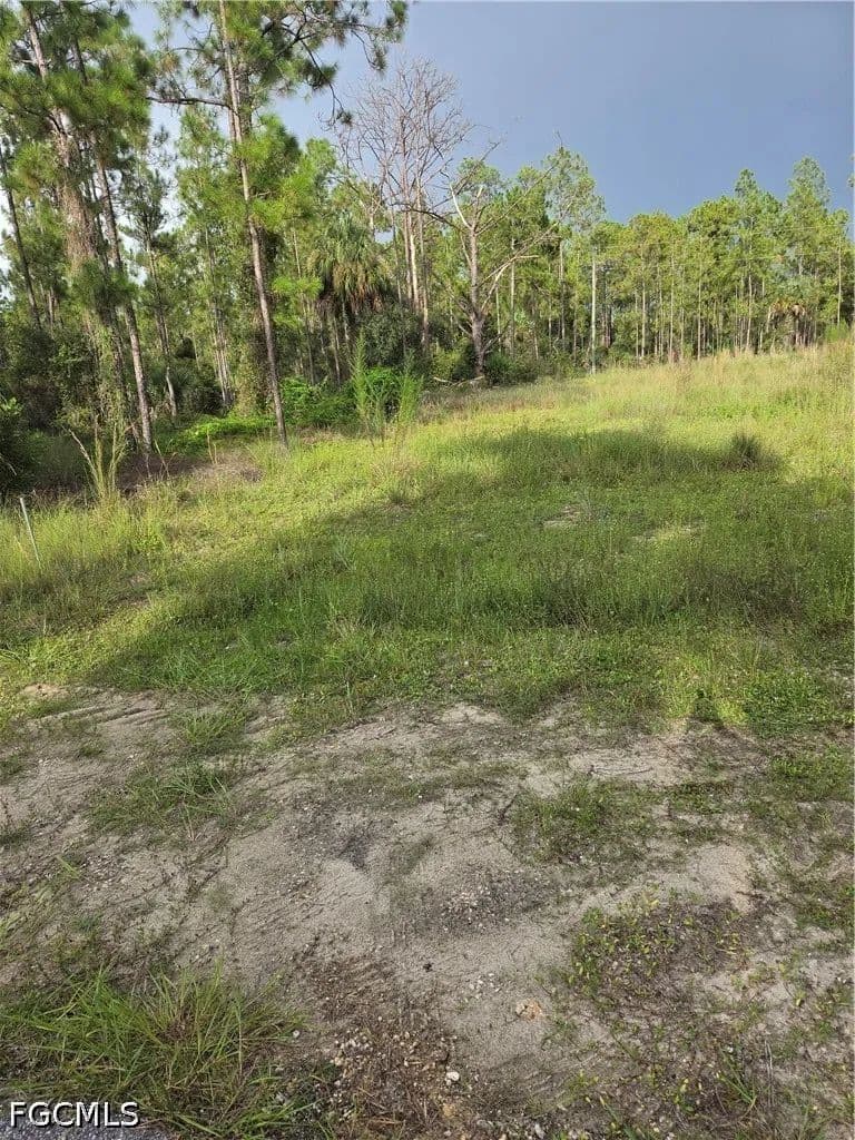 Vacant Land in Alva - Alva, Florida, 33920