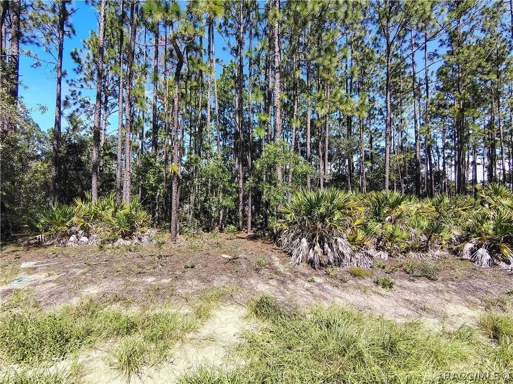 Lots & Land-Other in Dunnellon - Dunnellon, Florida, 34434