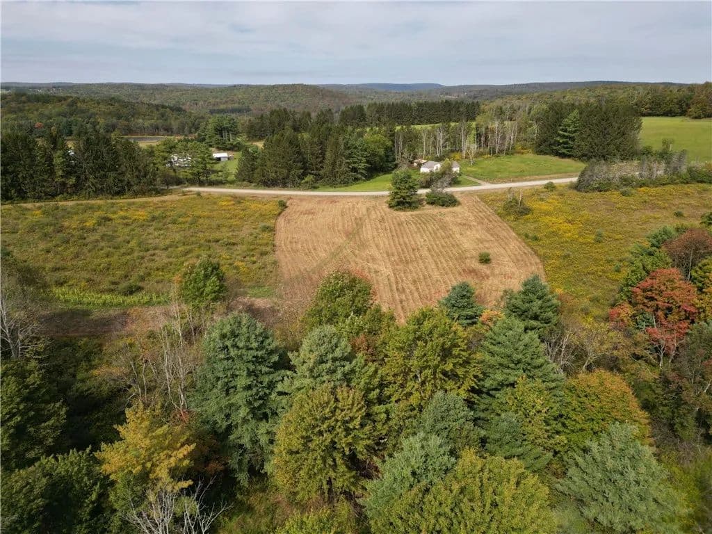 78 Acres of Land for Sale in Spencer, NY - Spencer, New York, 14883