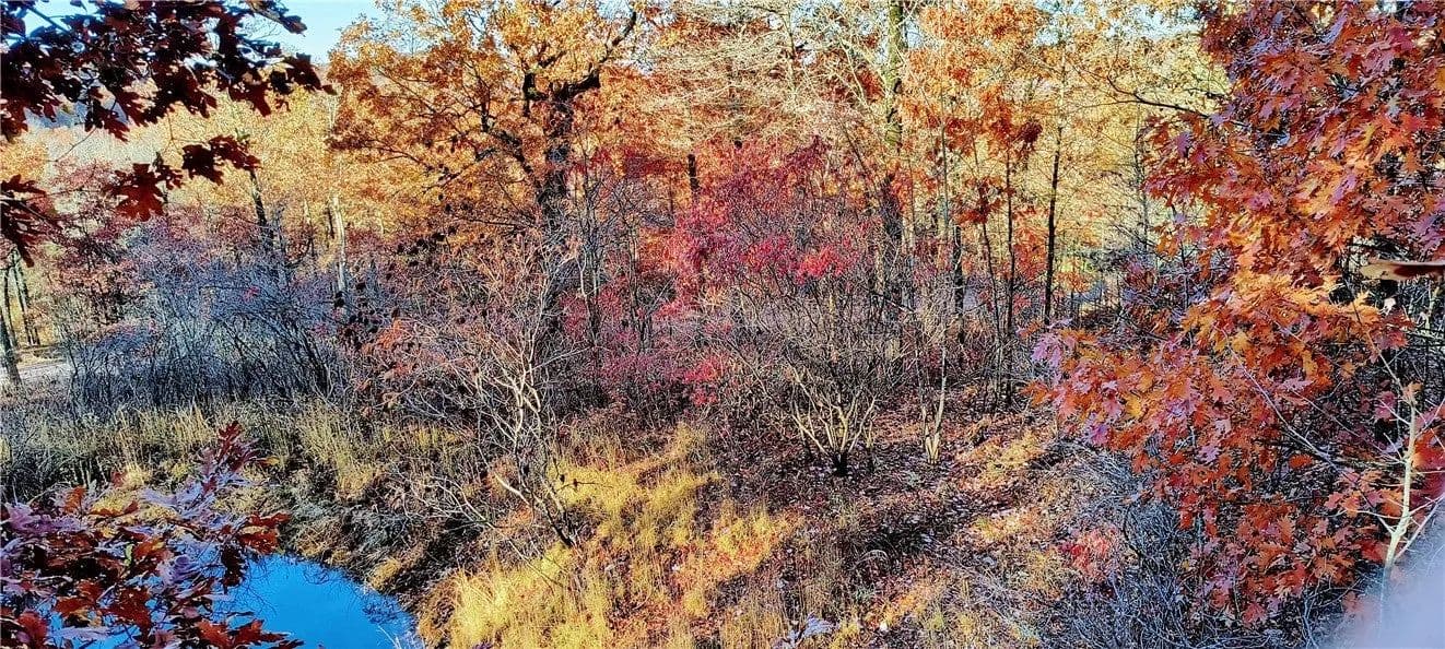 Lots & Land-Other in Kingston - Kingston, Arkansas, 72742