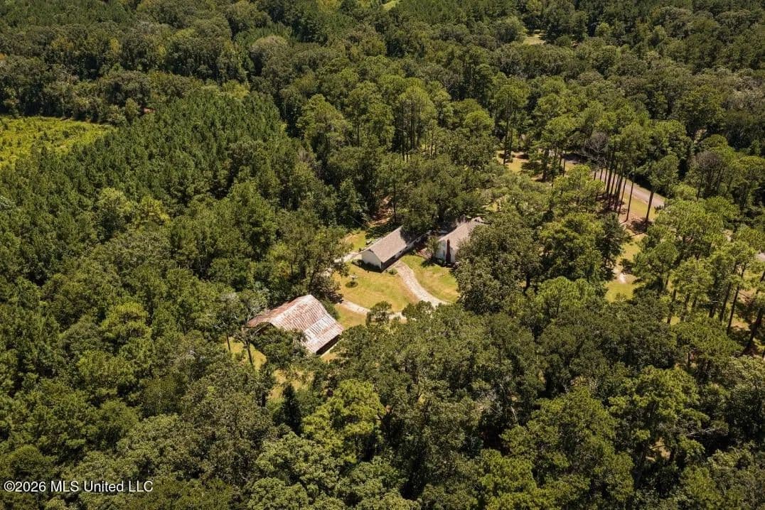 20 Acres for Sale Magnolia MS with Barn & Mature Timber - Magnolia, Mississippi, 39652