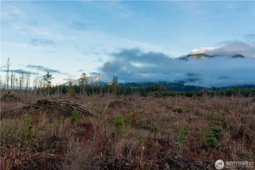 Vacant Land in Sumas