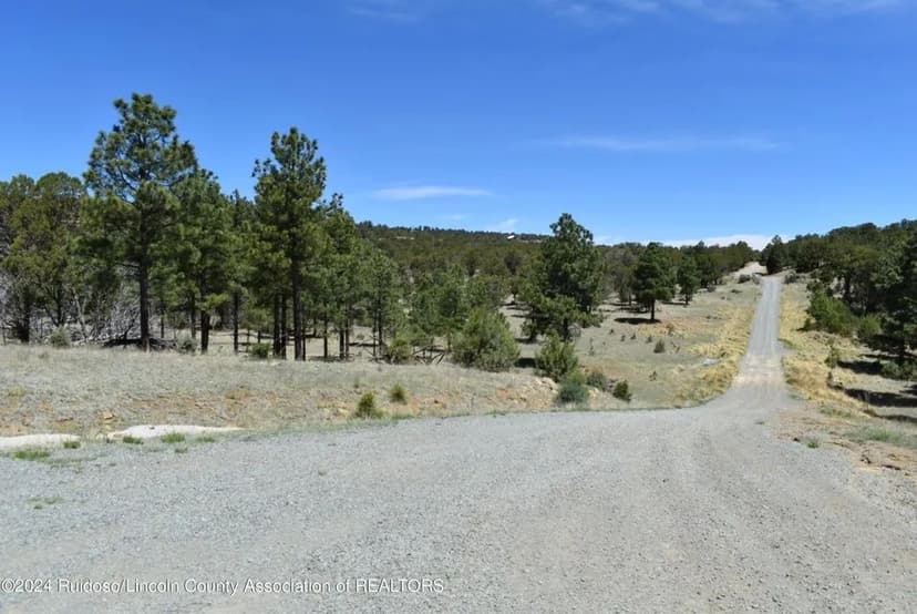Land -Single Family Acreage in Alto