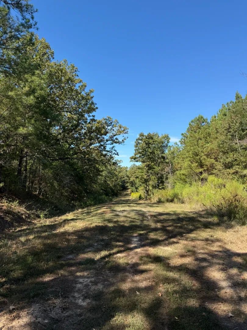 26.1 Acres in Madison County, MS  - Pickens, Mississippi, 39146