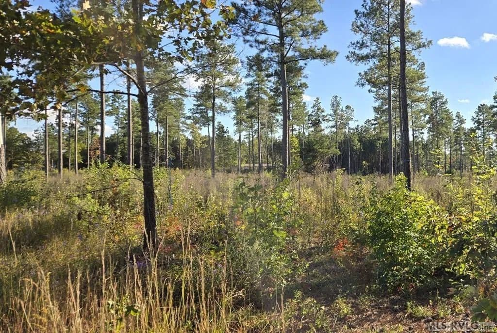 Vacant Land in Lawrenceville - Lawrenceville, Virginia, 23868