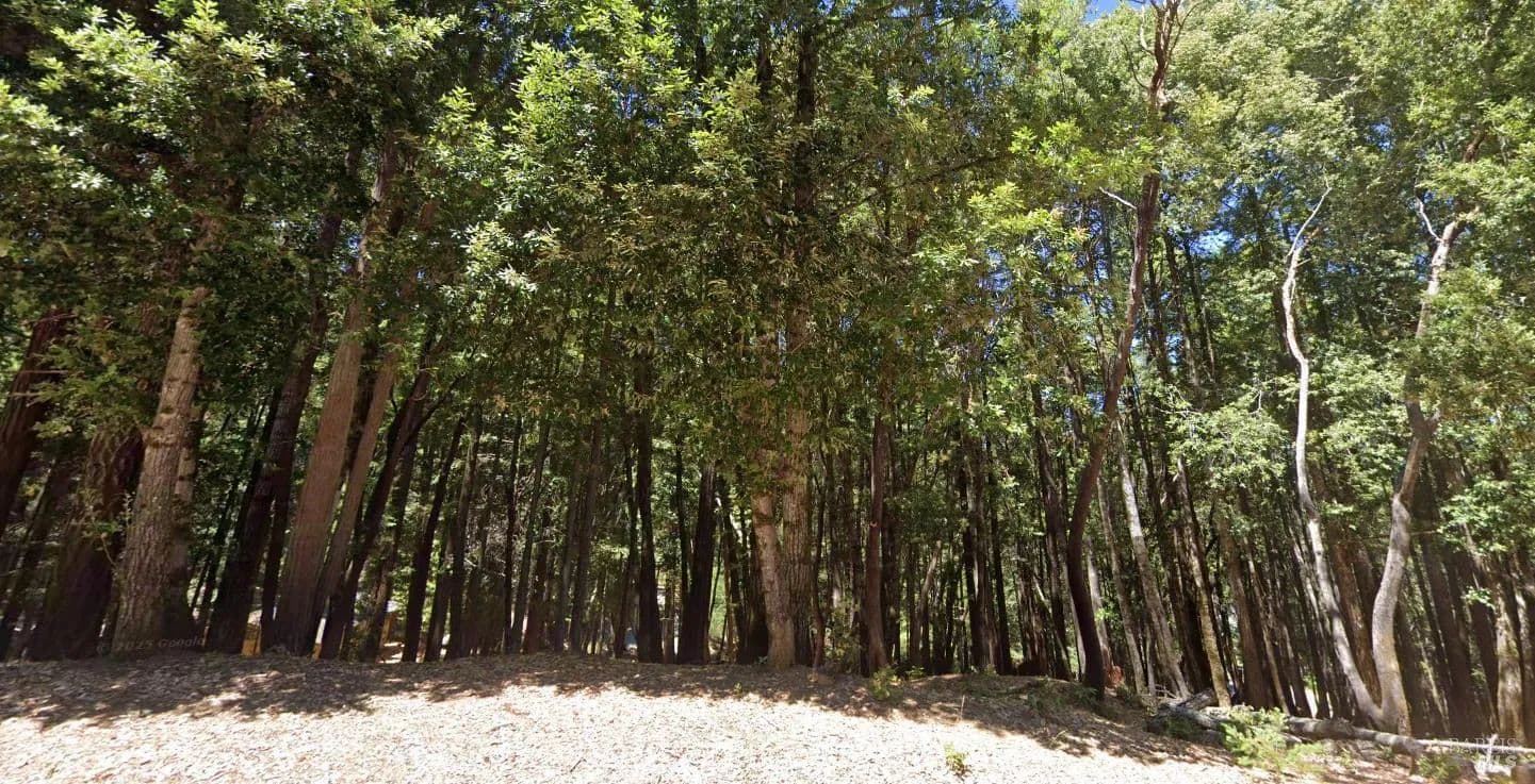 Lots & Land-Other in Willits - Willits, California, 95490