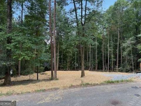 Lots & Land-Other in Ellijay - Ellijay, Georgia, 30540