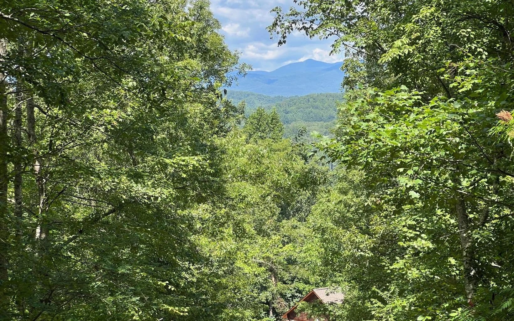 Lots & Land-Other in Brasstown - Brasstown, North Carolina, 28902