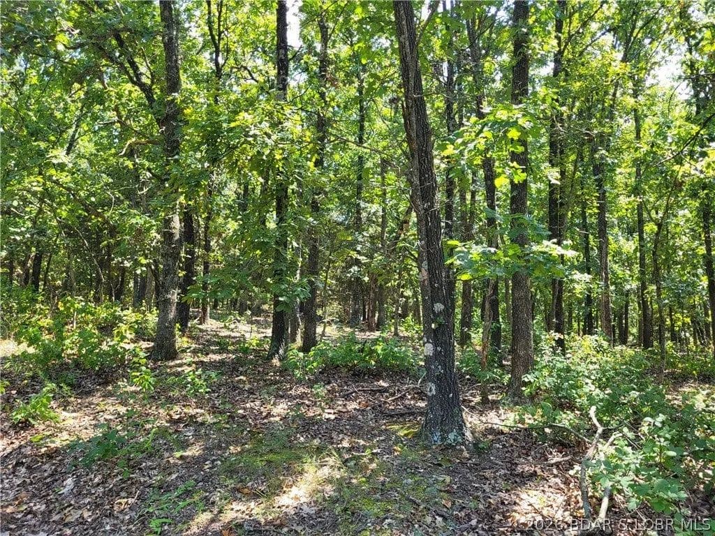 Lots & Land-Other in Edwards - Edwards, Missouri, 65326