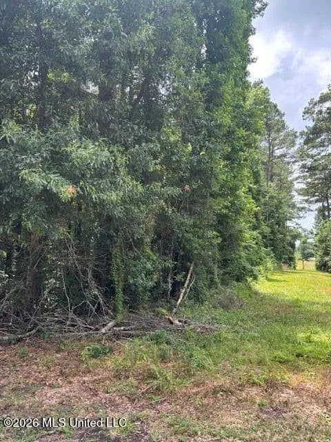 3.1 acres near Tylertown, Mississippi - land for sale