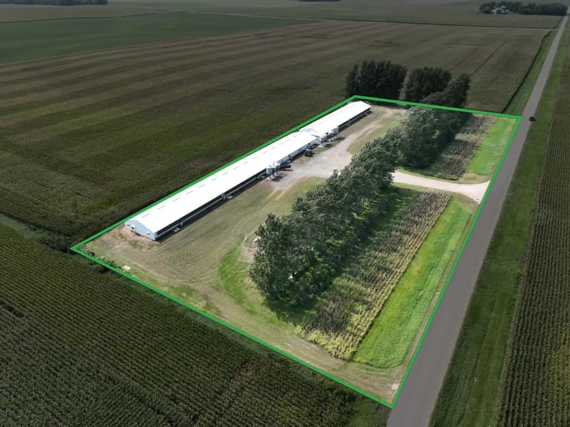 5.59± Acre Farm Sale Faribault County, MN