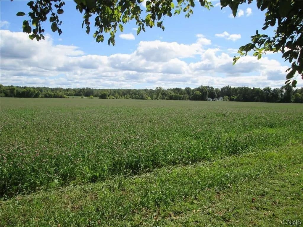Lots & Land-Other in Whitesboro - Whitesboro, New York, 13492