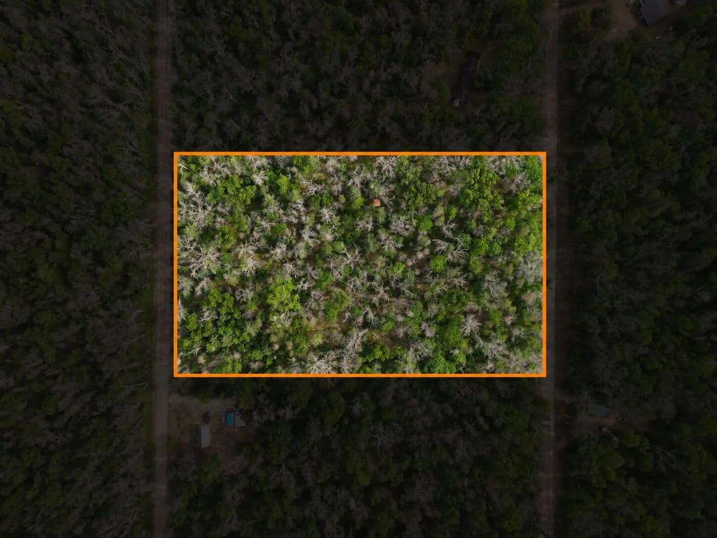 Vacant Land (0-10 Acres) in Baldwin - Baldwin, Michigan, 49304