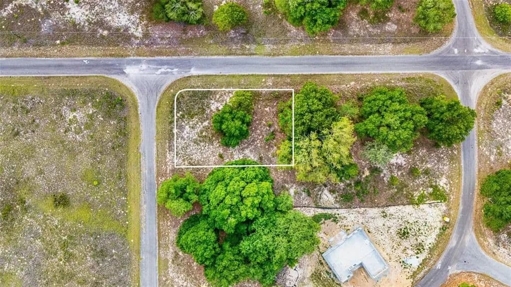 Vacant Land in Ocklawaha - Ocklawaha, Florida, 32179