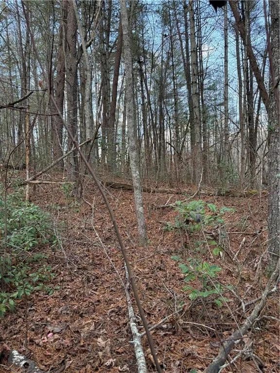 Vacant Land in Ellijay - Ellijay, Georgia, 30540